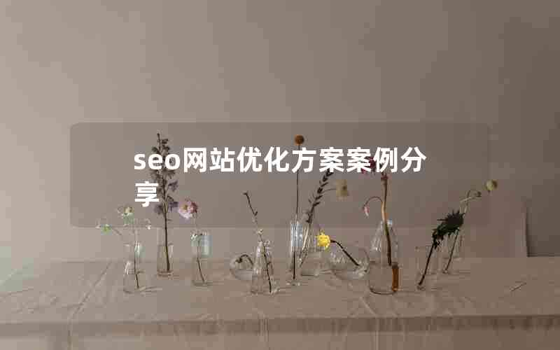 seo网站优化方案案例分享