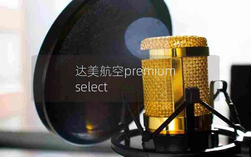 达美航空premium select