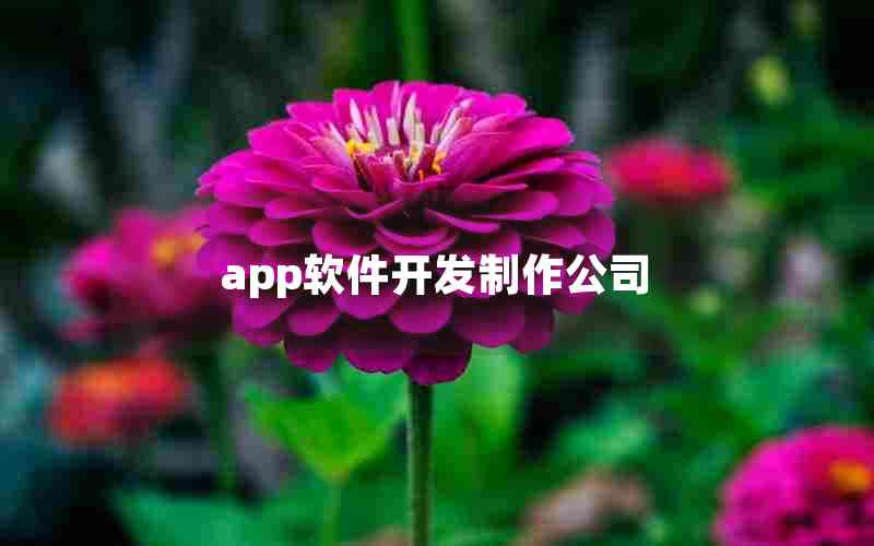 app软件开发制作公司