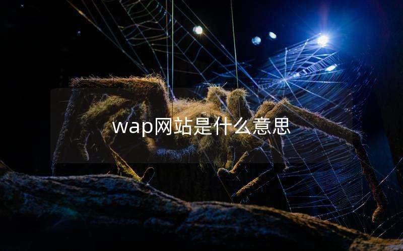 wap网站是什么意思