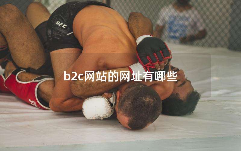 b2c网站的网址有哪些