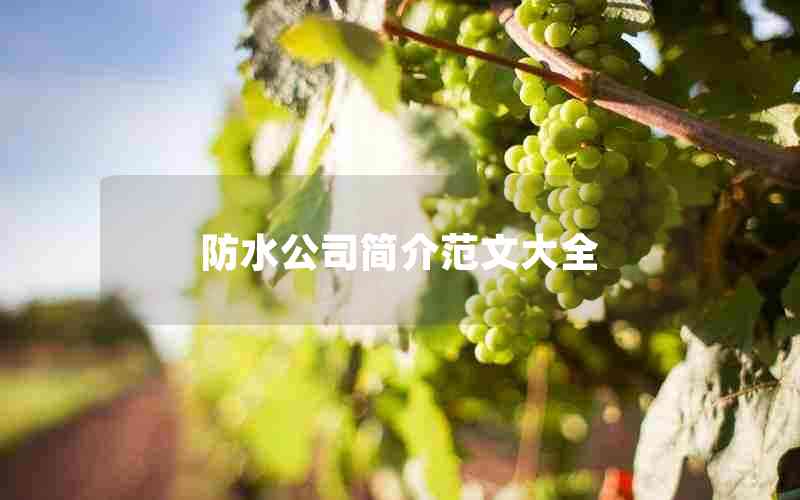 防水公司简介范文大全