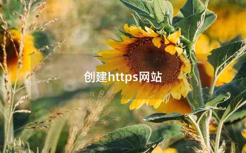 创建https网站